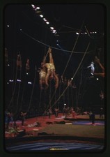 Photo:Ringling Bros Barnum Bailey Circus Aerialists 1974 Trapeze Act picture