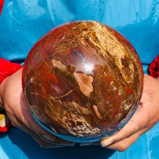 5.3LB Large Natural Petrified Wood Crystal Fossil ball Specimen Healing picture