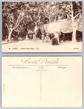 Vintage Cassis France Avenue Victor Hugo Street Scene Postcard LL Levy Fils picture