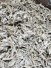 California White SAGE Smudge Loose Cluster Incense Bulk (1 pound) NEW  picture