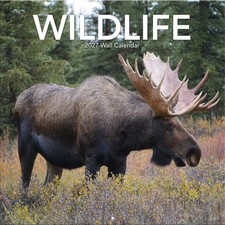 Turner Licensing, Wildlife 2027 Wall Calendar picture
