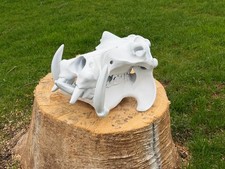 Large 3d printed hippo skull picture
