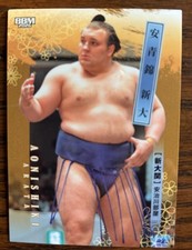 BBM 2026 Sumo Base Set Aonishiki Arata picture