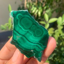 39g  Top Natural Malachite Quartz Crystal Gloss Mineral Specimen picture