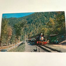 Harold Lingerfelt Doe River Gorge Playland Hwy 19-E Hampton TN Train Postcard picture