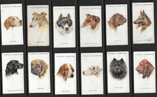 Players 1927 DOGS (from wardle paintings) set cigarette cards picture
