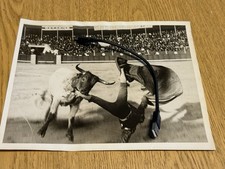 1940s ?  Press Photo Bullfighter in the Ring Being Thrown Underwood Press picture