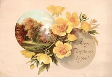 1880s-90s Merry Christmas to You Yellow Flowers Field Trade Card picture