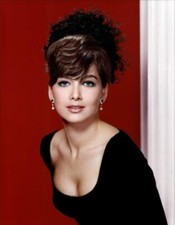 BEAUTIFUL SUZANNE PLESHETTE 8X10 Photo picture