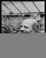 Photo:Southington Connecticut Nick Grillo 1900s Portrait in Greenhouse picture