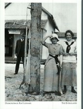*Florida Postcard-