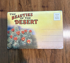 VINTAGE-POSTCARD FOLDER-THE BEAUTIES OF THE DESERT picture