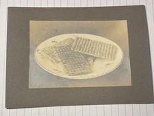 Antique Rare Company Advertising Cabinet Card Photograph Shredded Wheat Biscuits picture