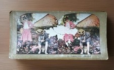 Stereoview ~ Undated ~ 